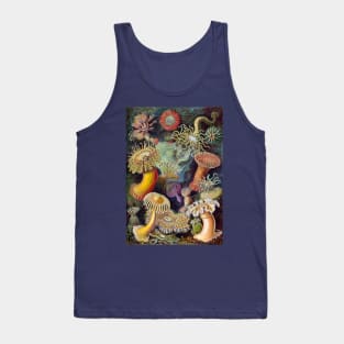 Sea Anemones by Ernst Haeckel Tank Top